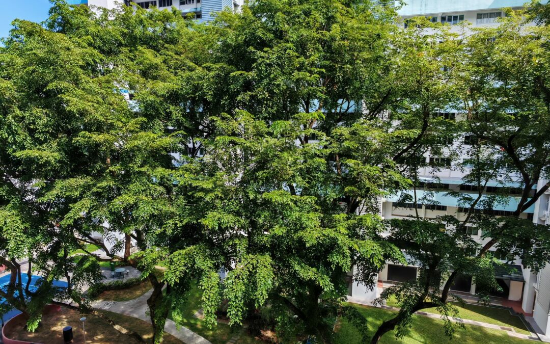 Workplace Resilience Singapore Teams Need: 3 Lessons from GenWell’s Tree of Life