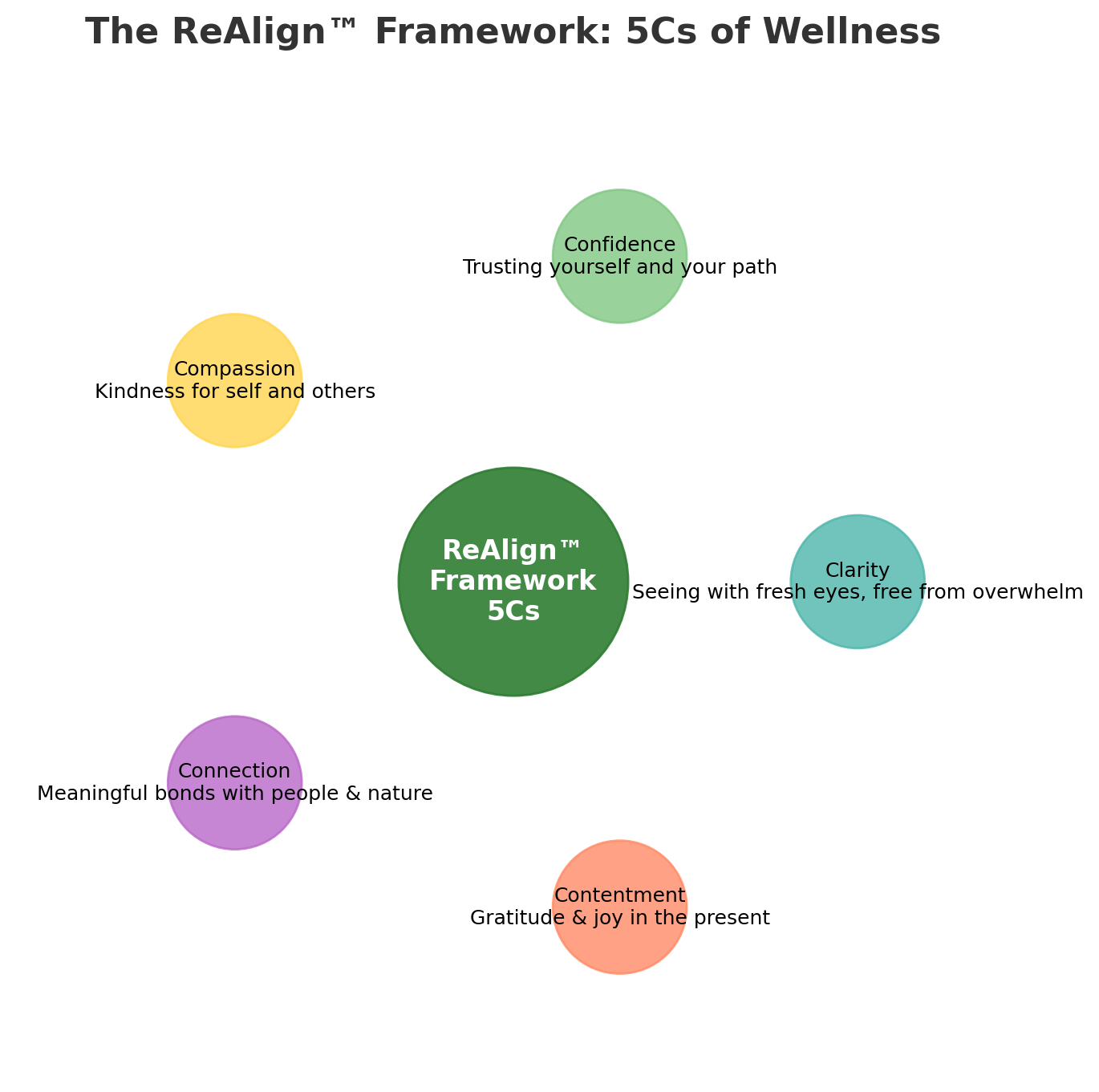 5Cs of Realign Framwork