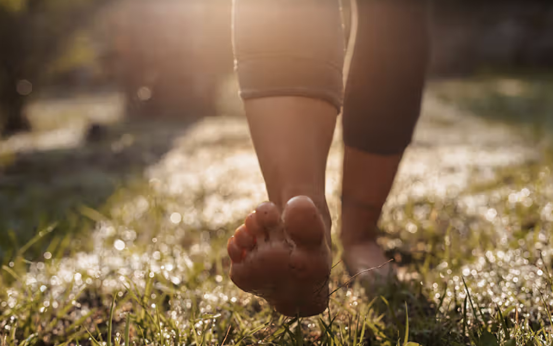 The ReAlign™ Framework: Finding Balance from the Inside Out