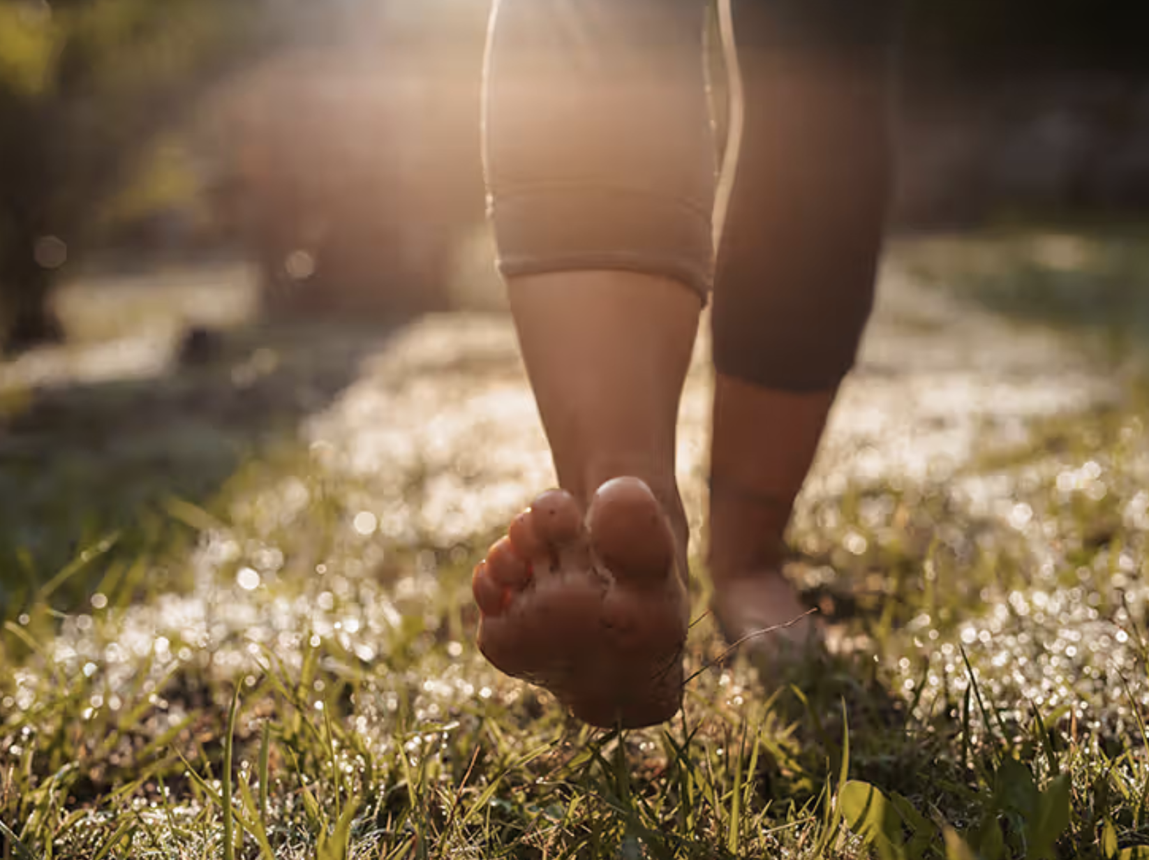 The ReAlign™ Framework: Finding Balance from the Inside Out The ReAlign™ Framework: Finding Balance from the Inside Out